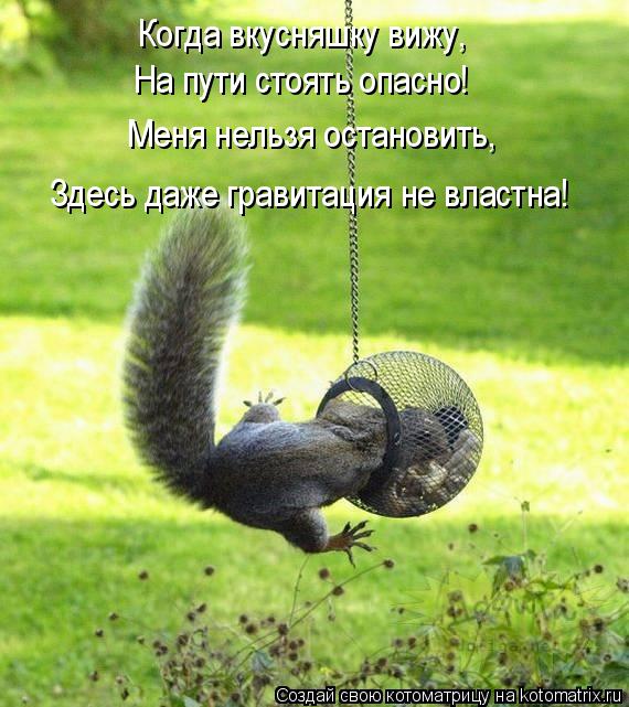 Меня нельзя остановить, Здесь даже гравитация не властна! Когда вкусняшку вижу, На пути стоять опасн... Котоматрица: Меня нельзя остановить, Здесь даже гравитация не властна! Когда вкусняшку вижу, На пути стоять опасно!