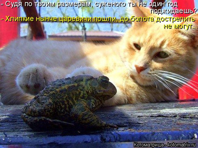 - Судя по твоим размерам, суженого ты не один год поджидаешь? - Хлипкие нынче царевичи пошли, до боло... Котоматрица: - Судя по твоим размерам, суженого ты не один год поджидаешь? - Хлипкие нынче царевичи пошли, до болота дострелить не могут...