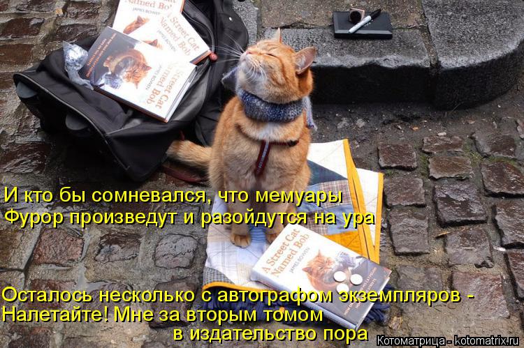 И кто бы сомневался, что мемуары Осталось несколько с автографом экземпляров - Налетайте! Мне за вто... Котоматрица: И кто бы сомневался, что мемуары Осталось несколько с автографом экземпляров - Налетайте! Мне за вторым томом в издательство пора Фурор про