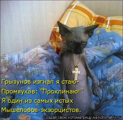Котоматрица: Грызунов изгнал я стаю- Промяукав: "Проклинаю!" Я один из самых истых Мышеловов-экзорцистов.
