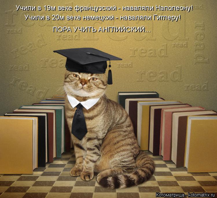 Котоматрица: Учили в 19м веке французский - наваляли Наполеону! Учили в 20м веке немецкий - наваляли Гитлеру! ПОРА УЧИТЬ АНГЛИЙСКИЙ...