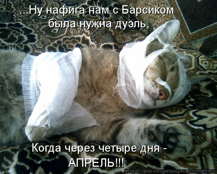 Котоматрица: ...Ну нафига нам с Барсиком   была нужна дуэль, Когда через четыре дня - АПРЕЛЬ!!!