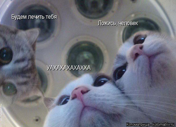Котоматрица: Ложись, человек Будем лечить тебя УАХАХАХАХАХХА