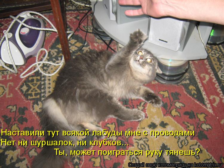 Котоматрица: Наставили тут всякой лабуды мне с проводами Нет ни шуршалок, ни клубков... Ты, может поиграться руку тянешь?