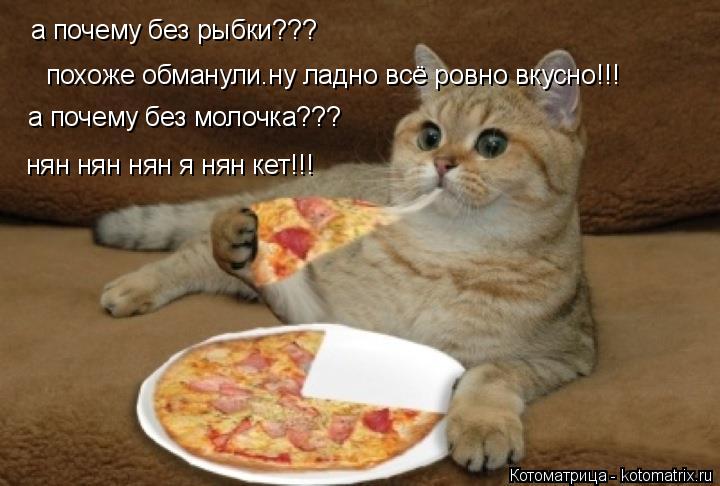 Котоматрица: а почему без рыбки??? похоже обманули.ну ладно всё ровно вкусно!!! а почему без молочка??? нян нян нян я нян кет!!!