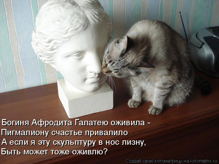 Котоматрица: Богиня Афродита Галатею оживила - Пигмалиону счастье привалило   А если я эту скульптуру в нос лизну, Быть может тоже оживлю?
