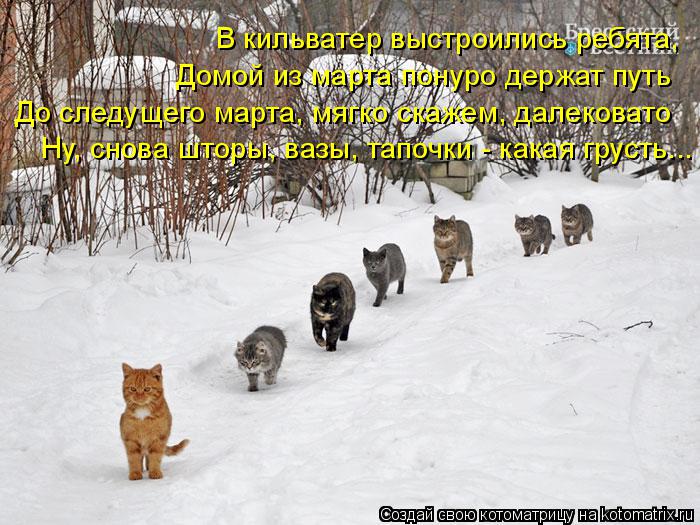 Котоматрица: В кильватер выстроились ребята, Домой из марта понуро держат путь До следущего марта, мягко скажем, далековато  Ну, снова шторы, вазы, тапочк