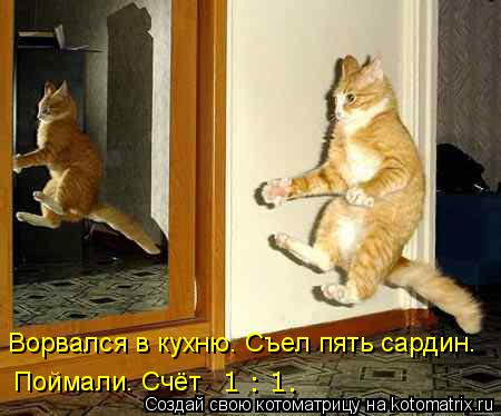 Котоматрица: Ворвался в кухню. Съел пять сардин. Поймали. Счёт 1 : 1.