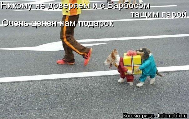 Котоматрица: Никому не доверяем и с Барбосом тащим парой Очень ценен нам подарок