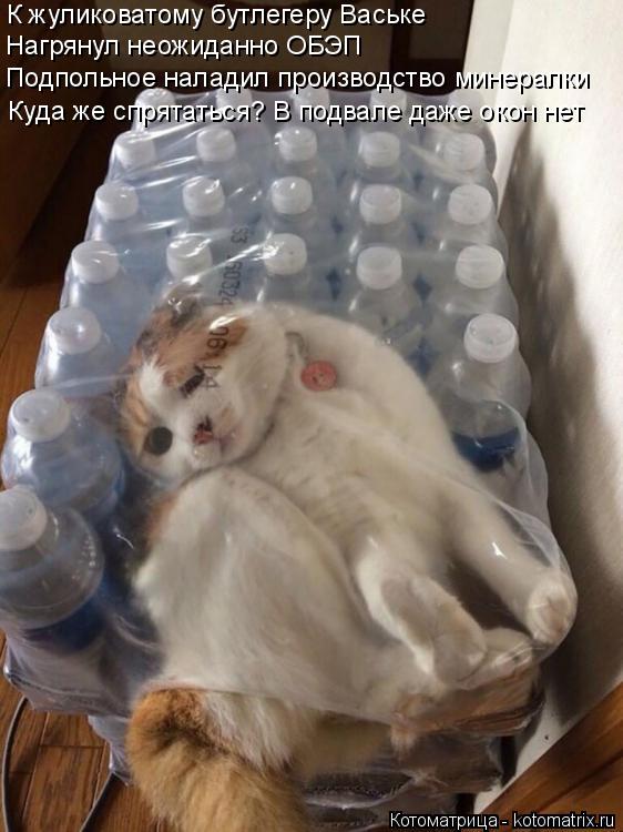 Котоматрица: К жуликоватому бутлегеру Ваське Нагрянул неожиданно ОБЭП Подпольное наладил производство минералки Куда же спрятаться? В подвале даже ок