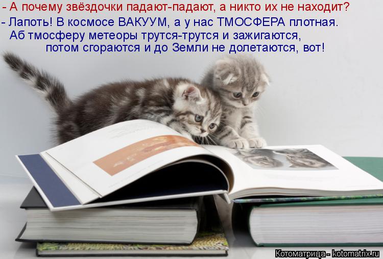 Котоматрица: - А почему звёздочки падают-падают, а никто их не находит? - Лапоть! В космосе ВАКУУМ, а у нас ТМОСФЕРА плотная. Аб тмосферу метеоры трутся-тру