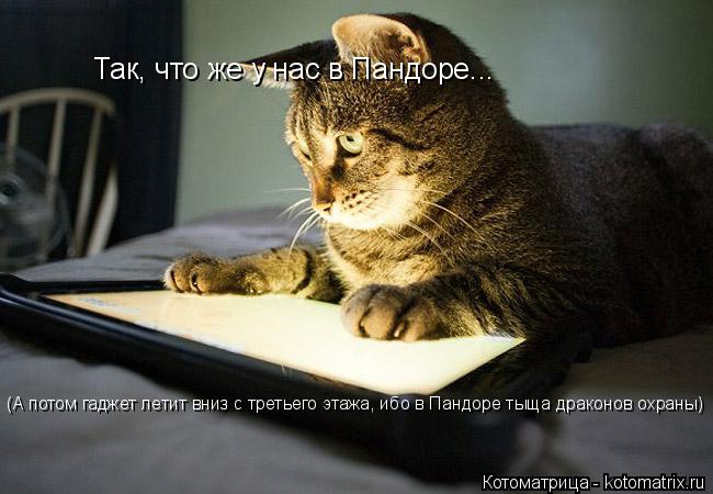 Котоматрица: Так, что же у нас в Пандоре...  (А потом гаджет летит вниз с третьего этажа, ибо в Пандоре тыща драконов охраны)