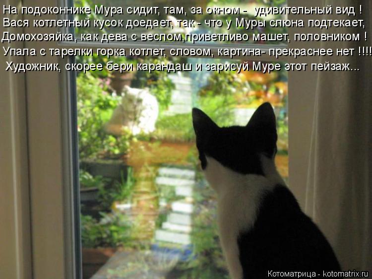 Котоматрица: Художник, скорее бери карандаш и зарисуй Муре этот пейзаж... На подоконнике Мура сидит, там, за окном -  удивительный вид ! Домохозяйка, как де