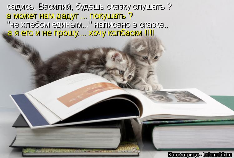 Котоматрица: а может нам дадут ... покушать ?  "не хлебом единым..." написано в сказке.. а я его и не прошу.... хочу колбаски !!!! садись, Василий, будешь сказку сл