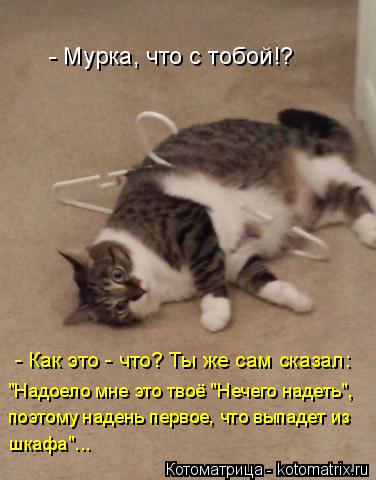 Котоматрица: - Мурка, что с тобой!? - Как это - что? Ты же сам сказал:  "Надоело мне это твоё "Нечего надеть", поэтому надень первое, что выпадет из  шкафа"...