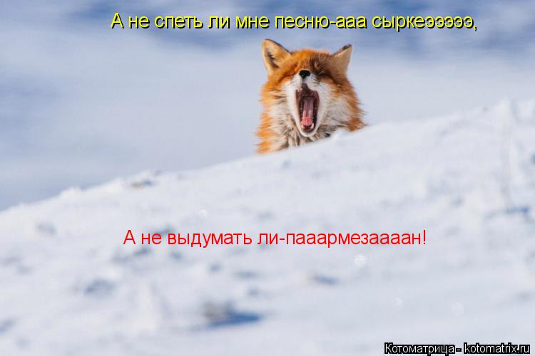 Котоматрица: А не спеть ли мне песню-ааа сыркеэээээ, А не выдумать ли-пааармезаааан!