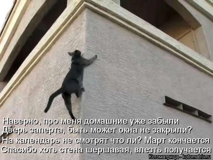 Котоматрица: Спасибо хоть стена шершавая, влезть получается На календарь не смотрят что ли? Март кончается Дверь заперта, быть может окна не закрыли?  На
