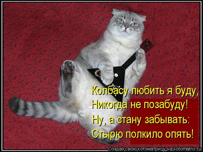 Котоматрица: Колбасу любить я буду, Никогда не позабуду! Ну, а стану забывать: Стырю полкило опять!