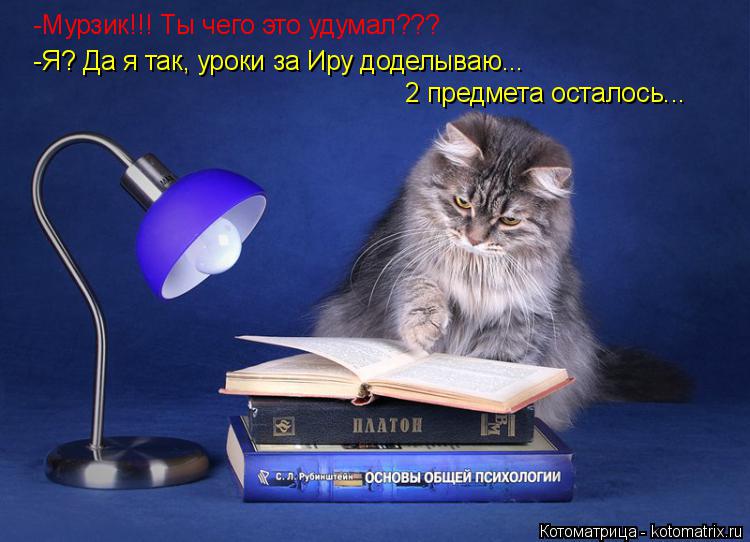 Котоматрица: -Мурзик!!! Ты чего это удумал??? -Я? Да я так, уроки за Иру доделываю... 2 предмета осталось...