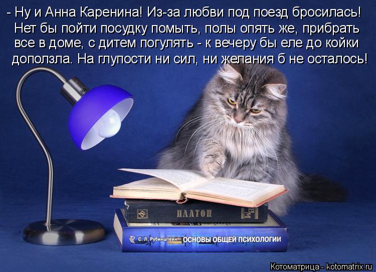 Котоматрица: - Ну и Анна Каренина! Из-за любви под поезд бросилась! Нет бы пойти посудку помыть, полы опять же, прибрать все в доме, с дитем погулять - к вече
