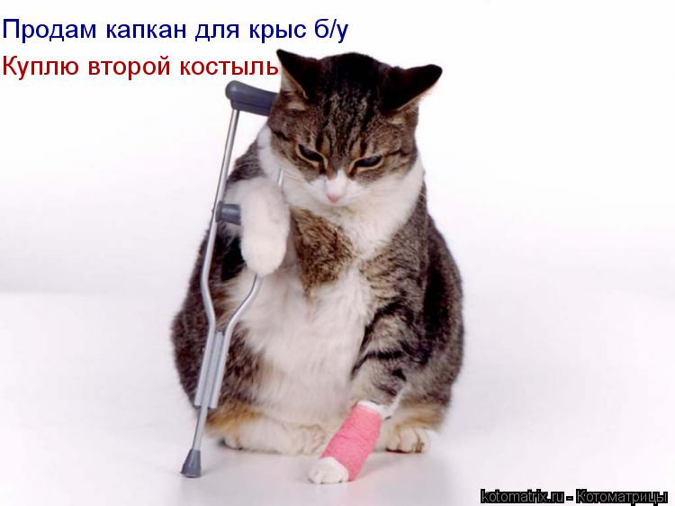 Котоматрица: Куплю второй костыль  Продам капкан для крыс б/у