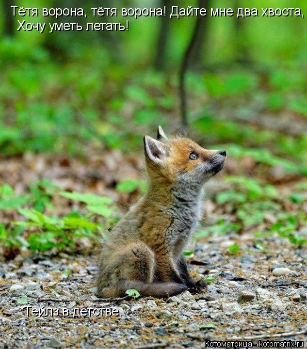 Котоматрица: Тётя ворона, тётя ворона! Дайте мне два хвоста, Хочу уметь летать! *Тейлз в детстве.