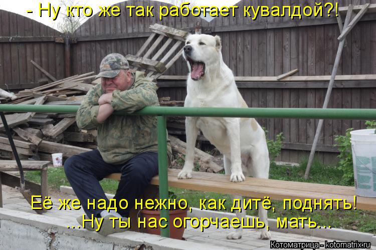 Котоматрица: - Ну кто же так работает кувалдой?! Её же надо нежно, как дитё, поднять! ...Ну ты нас огорчаешь, мать...