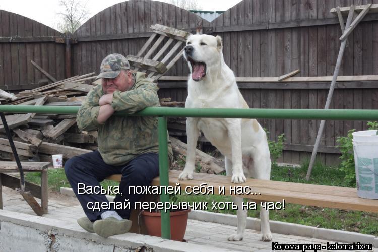 Котоматрица: Васька, пожалей себя и нас... сделай перерывчик хоть на час!