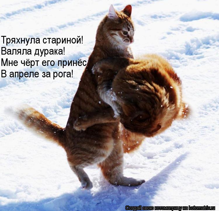 Котоматрица: Мне чёрт его принёс Тряхнула стариной! Валяла дурака! В апреле за рога!
