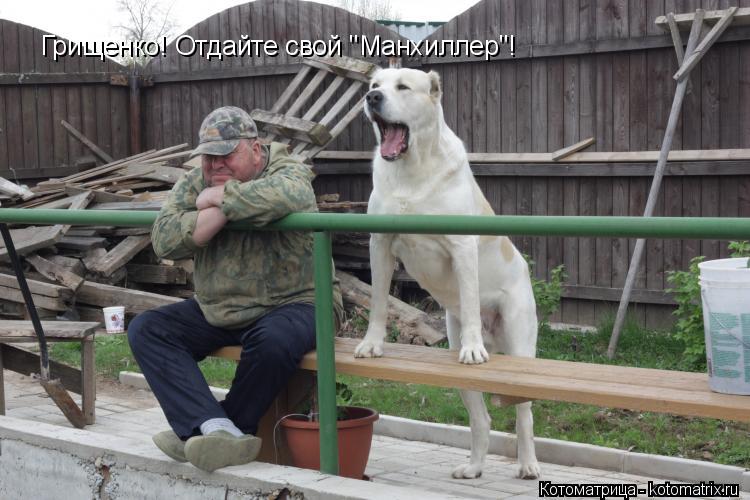 Котоматрица: Грищенко! Отдайте свой "Манхиллер"!