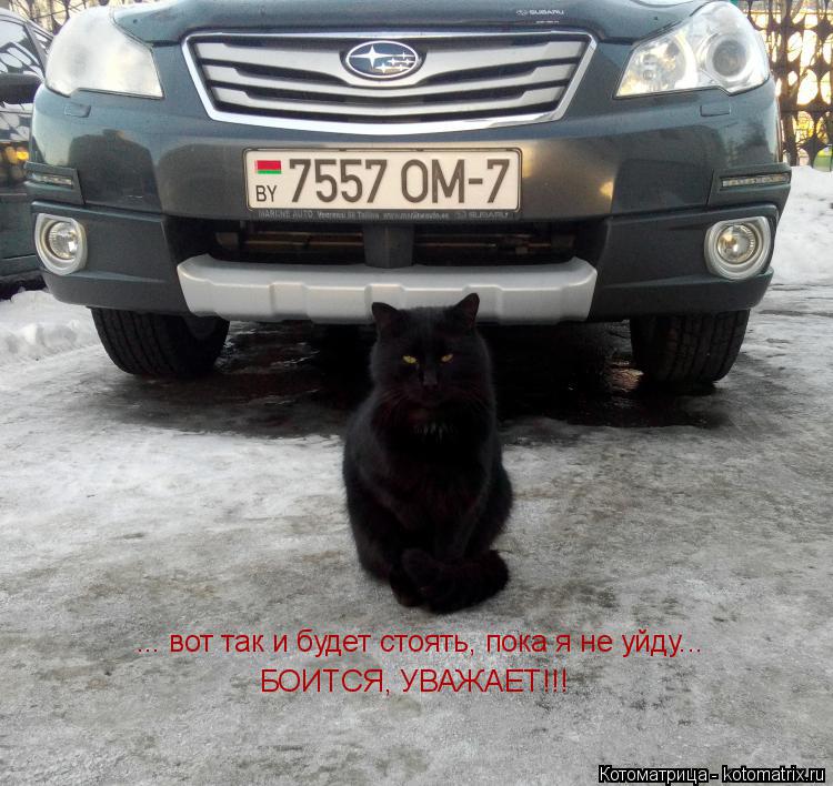 Котоматрица: ... вот так и будет стоять, пока я не уйду... БОИТСЯ, УВАЖАЕТ!!!