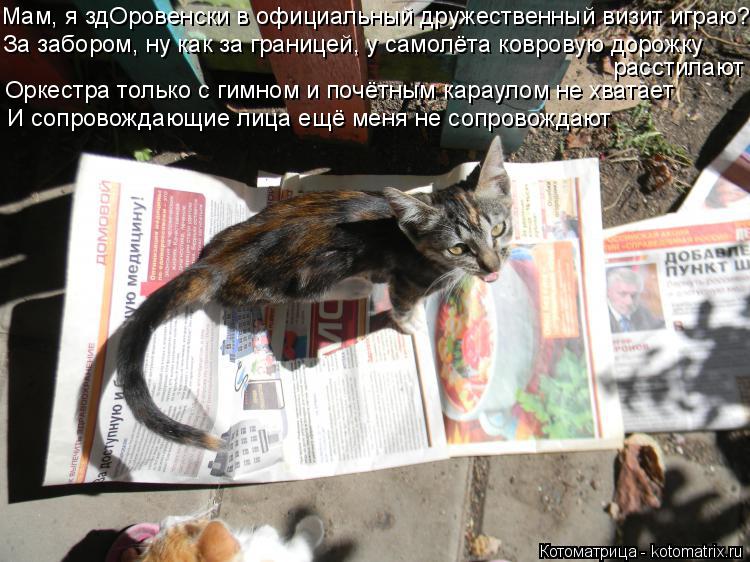 Котоматрица: Мам, я здОровенски в официальный дружественный визит играю? За забором, ну как за границей, у самолёта ковровую дорожку расстилают Оркестра