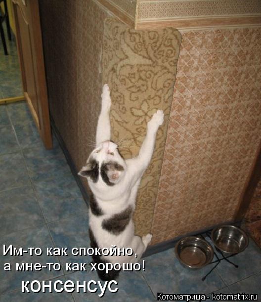 Котоматрица: Им-то как спокойно, а мне-то как хорошо! консенсус
