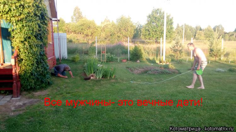 Котоматрица: Все мужчины- это вечные дети!