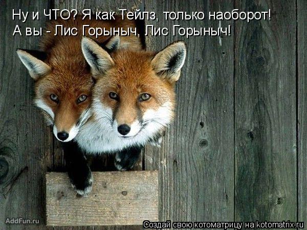 Котоматрица: Ну и ЧТО? Я как Тейлз, только наоборот! А вы - Лис Горыныч, Лис Горыныч!