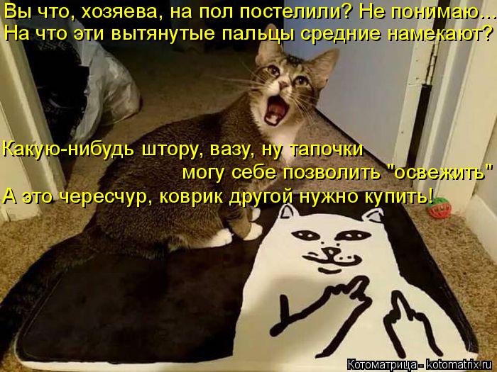 Котоматрица: На что эти вытянутые пальцы средние намекают? Какую-нибудь штору, вазу, ну тапочки могу себе позволить "освежить"  А это чересчур, коврик дру