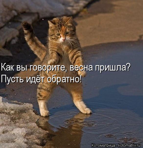 Котоматрица: Как вы говорите, весна пришла? Пусть идёт обратно!