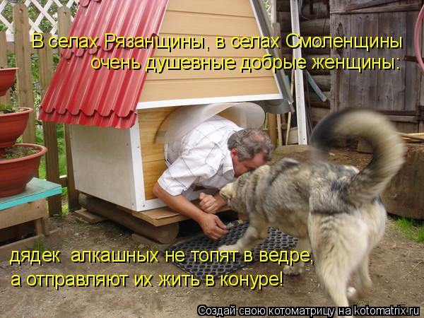 Котоматрица: В селах Рязанщины, в селах Смоленщины  очень душевные добрые женщины: дядек  алкашных не топят в ведре,  а отправляют их жить в конуре!