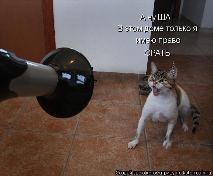 Котоматрица: А ну ША! В этом доме только я  имею право ОРАТЬ .........