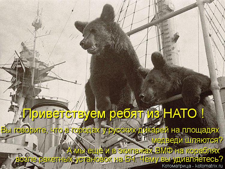 Котоматрица: Вы говорите, что в городах у русских дикарей на площадях А мы ещё и в экипажах ВМФ на кораблях  возле ракетных установок на БЧ. Чему вы удивля