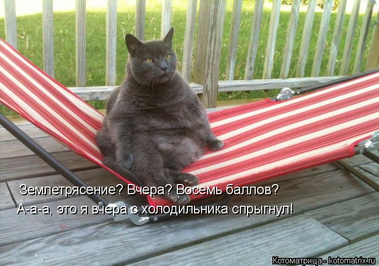 Котоматрица: Землетрясение? Вчера? Восемь баллов? А-а-а, это я вчера с холодильника спрыгнул!
