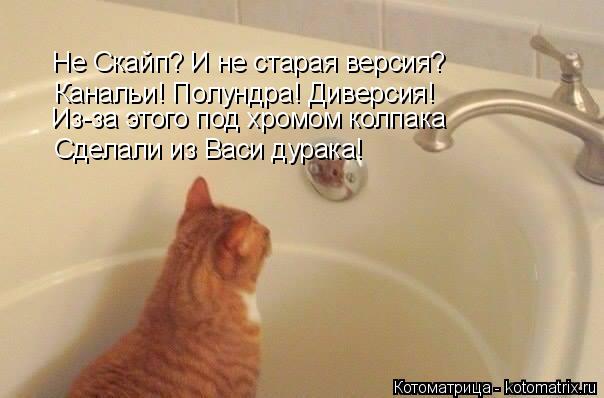 Котоматрица: Не Скайп? И не старая версия? Канальи! Полундра! Диверсия! Из-за этого под хромом колпака Сделали из Васи дурака!