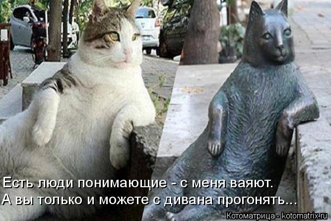 Котоматрица: Есть люди понимающие - с меня ваяют. А вы только и можете с дивана прогонять...