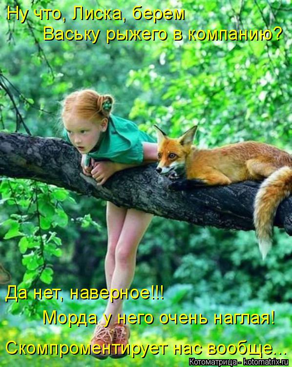 Котоматрица: Ну что, Лиска, берем  Ваську рыжего в компанию? Да нет, наверное!!!  Морда у него очень наглая! Скомпроментирует нас вообще...