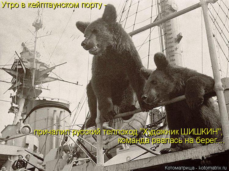 Котоматрица: Утро в кейптаунском порту - причалил русский теплоход "Художник ШИШКИН", команда рвалась на берег....