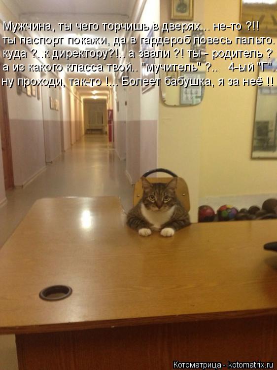 Котоматрица: ты паспорт покажи, да в гардероб повесь пальто. Мужчина, ты чего торчишь в дверях... не-то ?!! куда ?..к директору?!.. а звали ?! ты - родитель ? а из к