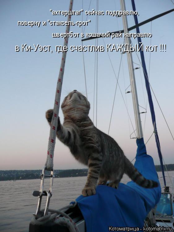 Котоматрица: "ахтерштаг" сейчас подправлю, поверну и "стаксель-грот" в Ки-Уэст, где счастлив КАЖДЫЙ кот !!! швертбот в кошачий рай направлю