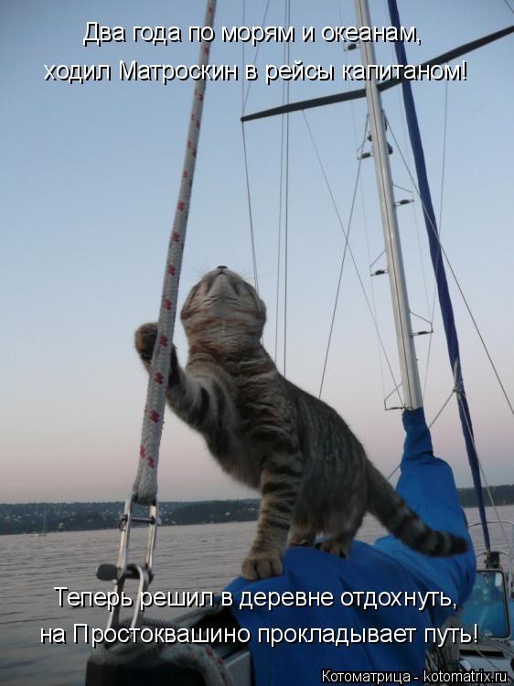 Котоматрица: ходил Матроскин в рейсы капитаном! на Простоквашино прокладывает путь! Теперь решил в деревне отдохнуть, Два года по морям и океанам,