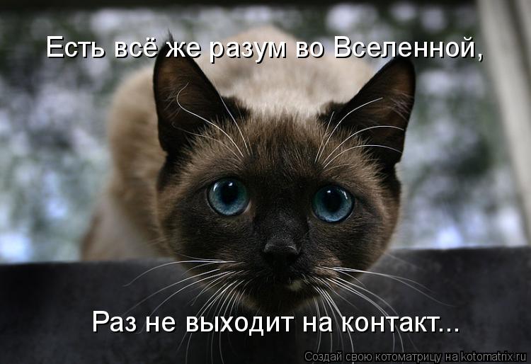 Котоматрица: Есть всё же разум во Вселенной, Раз не выходит на контакт...