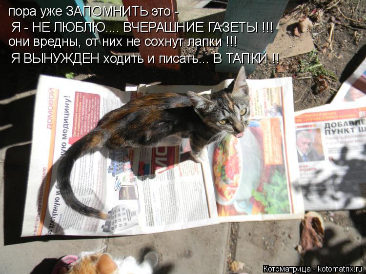 Котоматрица: пора уже ЗАПОМНИТЬ это -  Я - НЕ ЛЮБЛЮ.... ВЧЕРАШНИЕ ГАЗЕТЫ !!! они вредны, от них не сохнут лапки !!! Я ВЫНУЖДЕН ходить и писать... В ТАПКИ !!